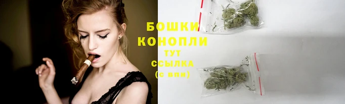 мдпв Ачинск