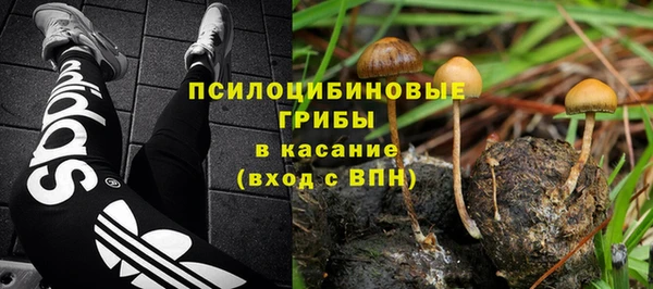 мдпв Ачинск