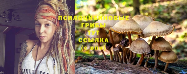 мяу мяу мука Анжеро-Судженск