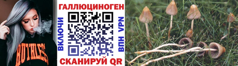 Галлюциногенные грибы Magic Shrooms  Дятьково 