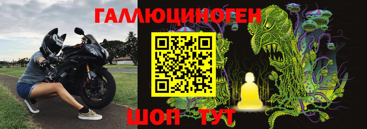 наркошоп  Галлюциногенные грибы Psilocybine cubensis  Дятьково  Псилоцибиновые грибы GOLDEN TEACHER 