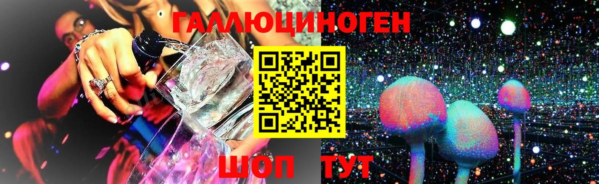 Псилоцибиновые грибы прущие грибы Дятьково