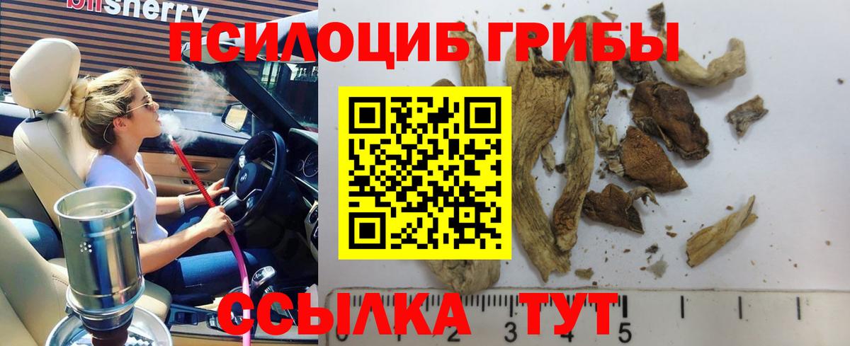 Псилоцибиновые грибы мухоморы Дятьково