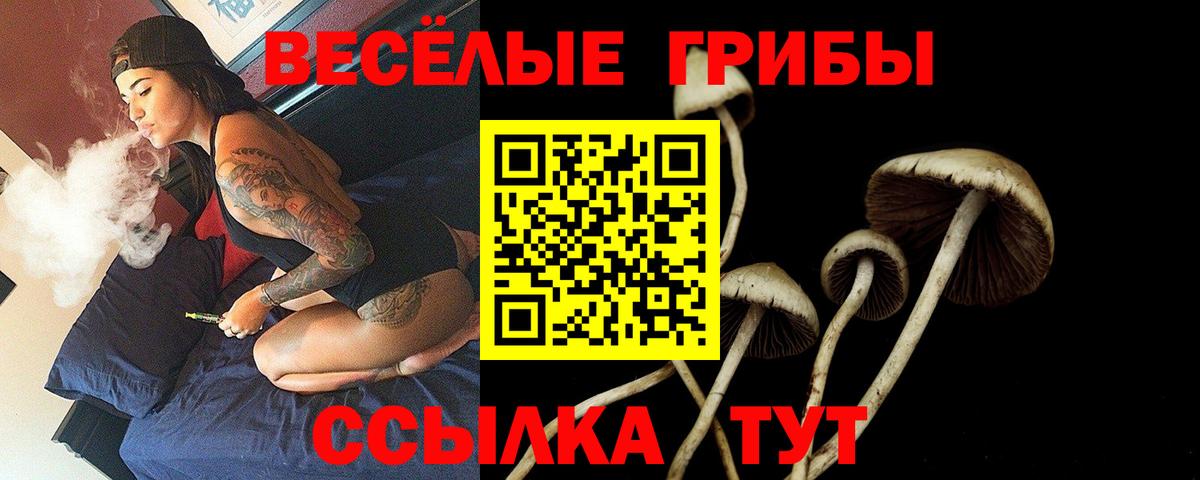 Альфа-ПВП  Каннабис  КОКАИН  Гашиш  ГЕРОИН  Мяу-Мяу  Дятьково  XTC  Бошки Шишки  Меф  Наркошоп  Ляпка  Вход с VPN 